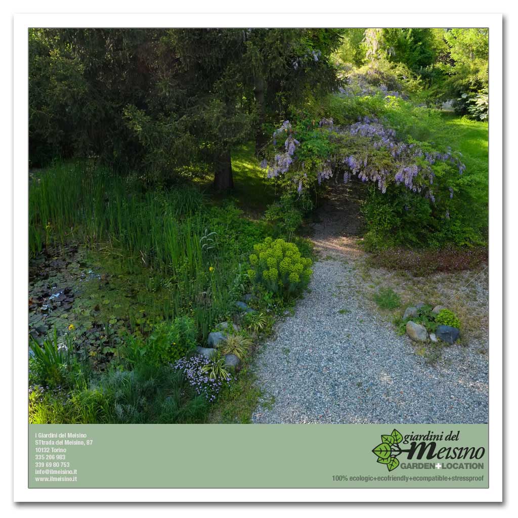giardini meisino location torino 147